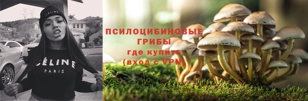 дмт Аркадак
